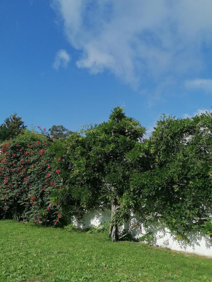 Casa Das Castanheiras 비에이라도미노 외부 사진